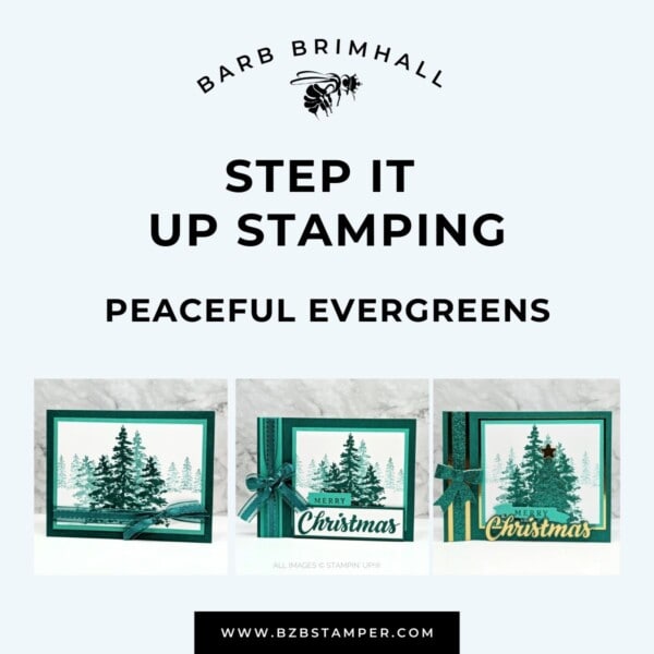 Peaceful Evergreens Step It Up Stamping Instructions