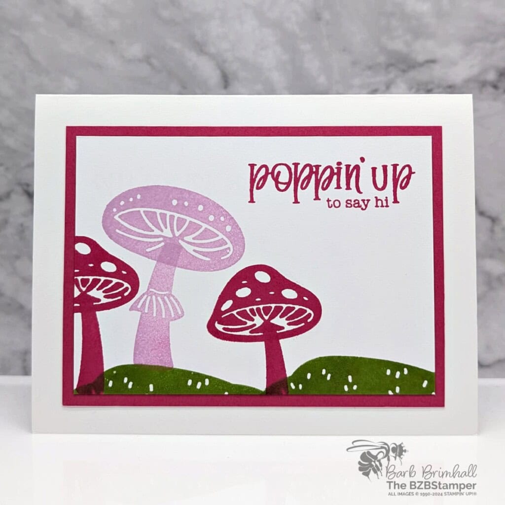 3 Cards Using The Terrific Toadstools Garden 2 010525 stampin up terrific toadstools sius 1BB