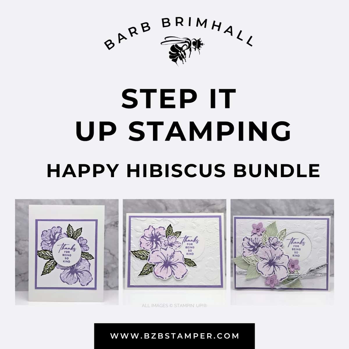 Happy Hibiscus Bundle Step It Up Stamping Instructions 1 Happy Hibiscus Bundle Step It Up Stamping Instructions