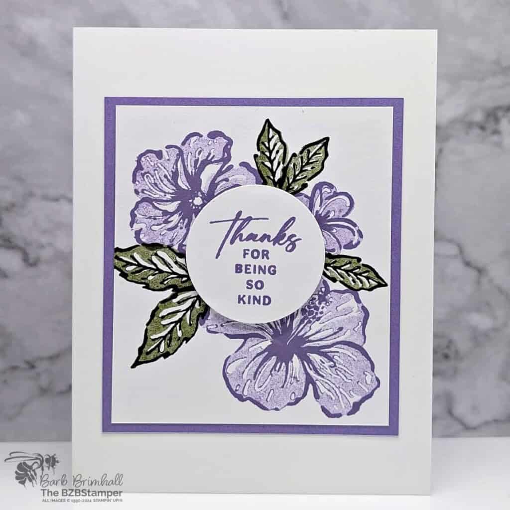 3 Cards using the Happy Hibiscus Bundle 2 120824 stampin up happy hibiscus 1bb