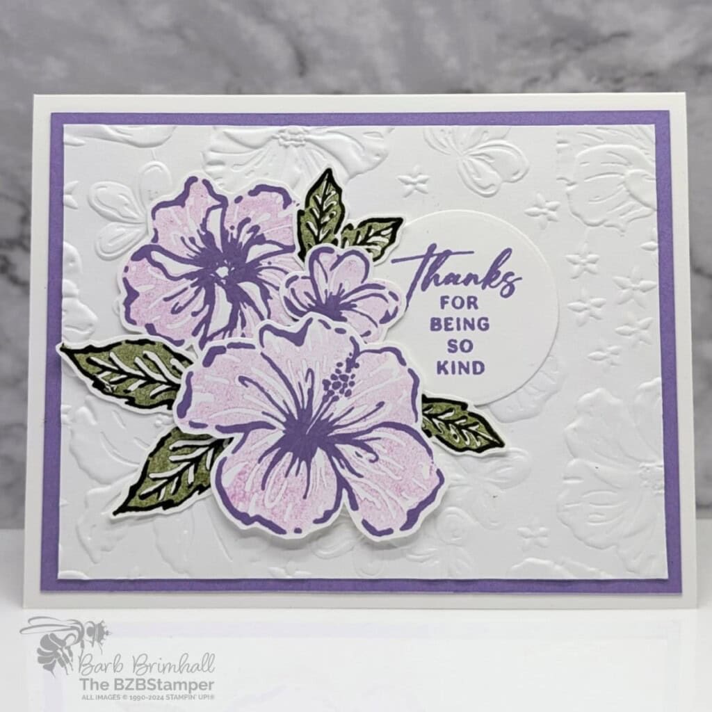 3 Cards using the Happy Hibiscus Bundle 3 120824 stampin up happy hibiscus 2wb