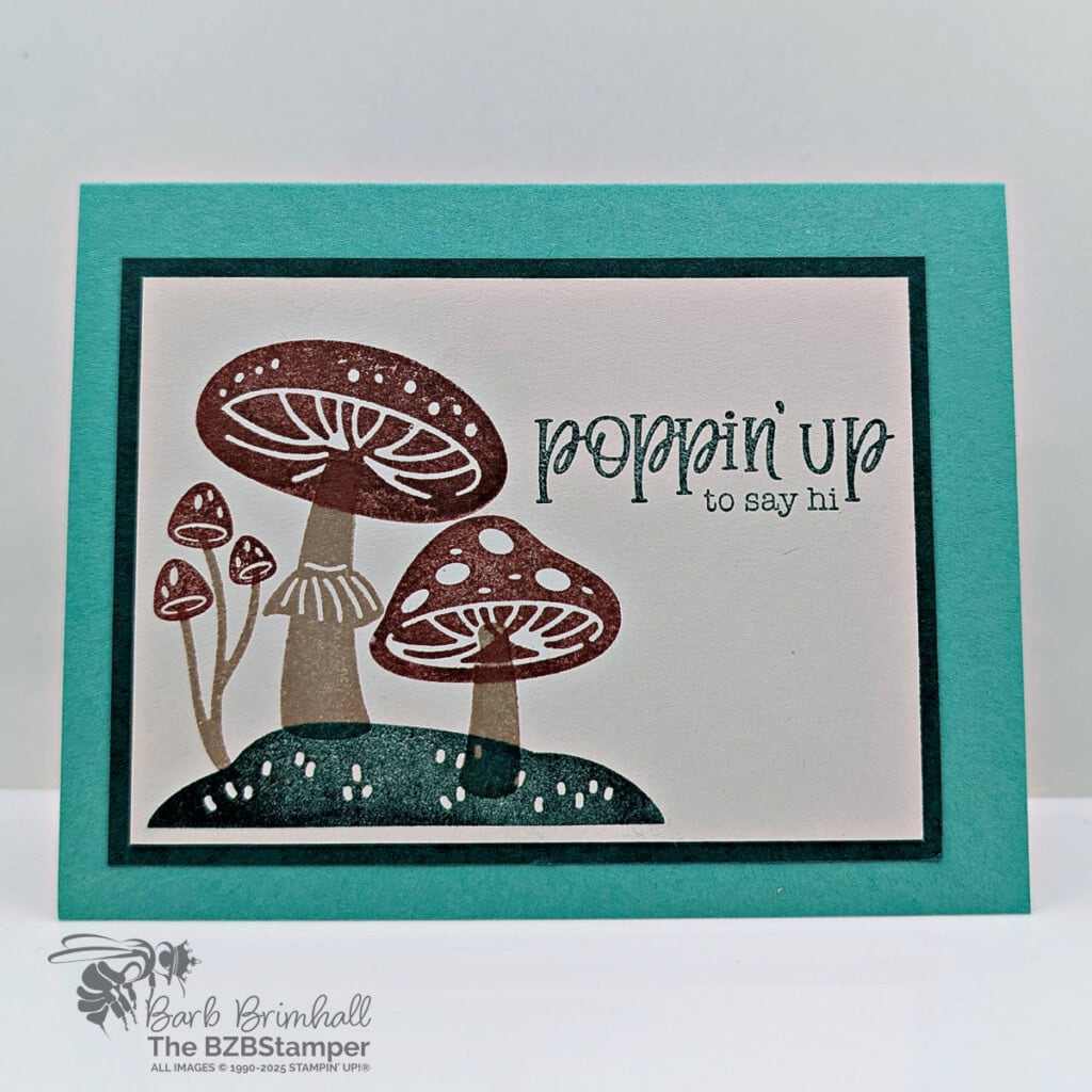 3 Cards using the Terrific Toadstools Bundle 2 022325 stampin up terrific toadstools sius 1bb