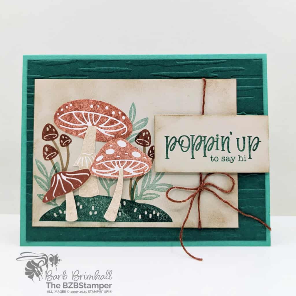 3 Cards using the Terrific Toadstools Bundle 3 3 Cards using the Terrific Toadstools Bundle featuring toadstools in browns and greens and a "Poppin' Up To Say Hi" sentiment.