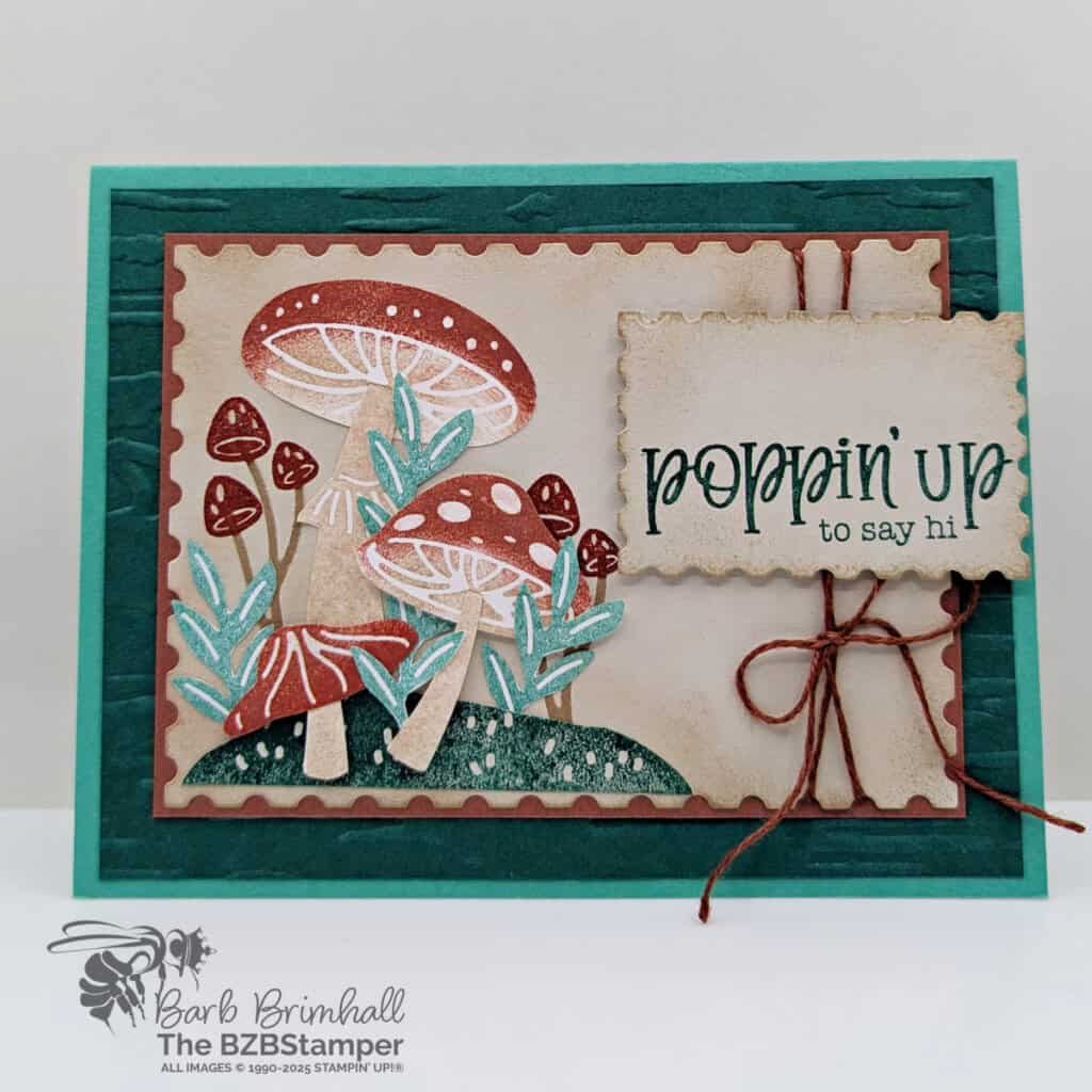 3 Cards using the Terrific Toadstools Bundle 4 022325 stampin up terrific toadstools sius qb