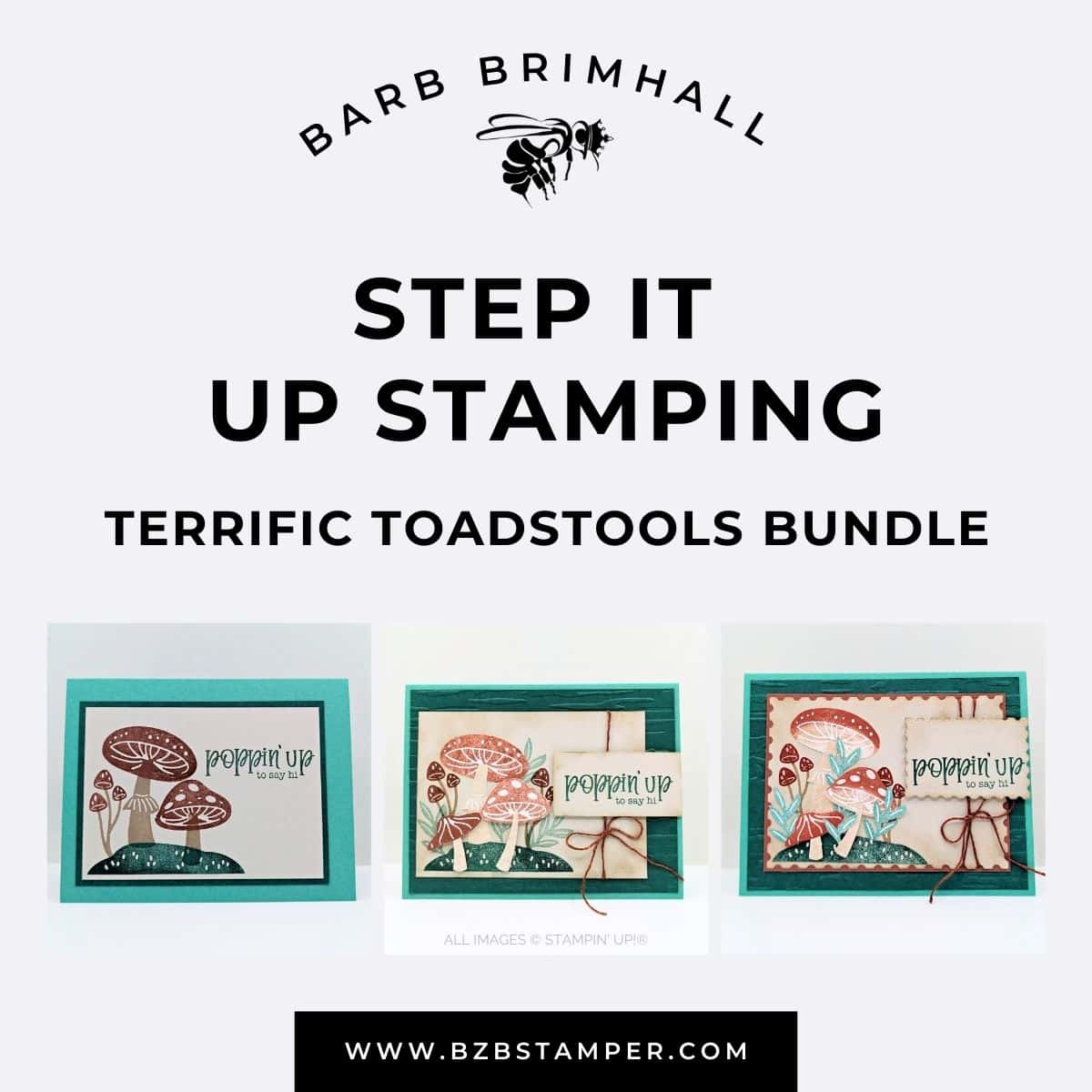 Terrific Toadstools Bundle Step It Up Stamping Instructions 1 Terrific Toadstools Bundle Step It Up Stamping Instructions