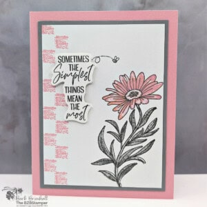 041225 stampin up you are remarkable 5