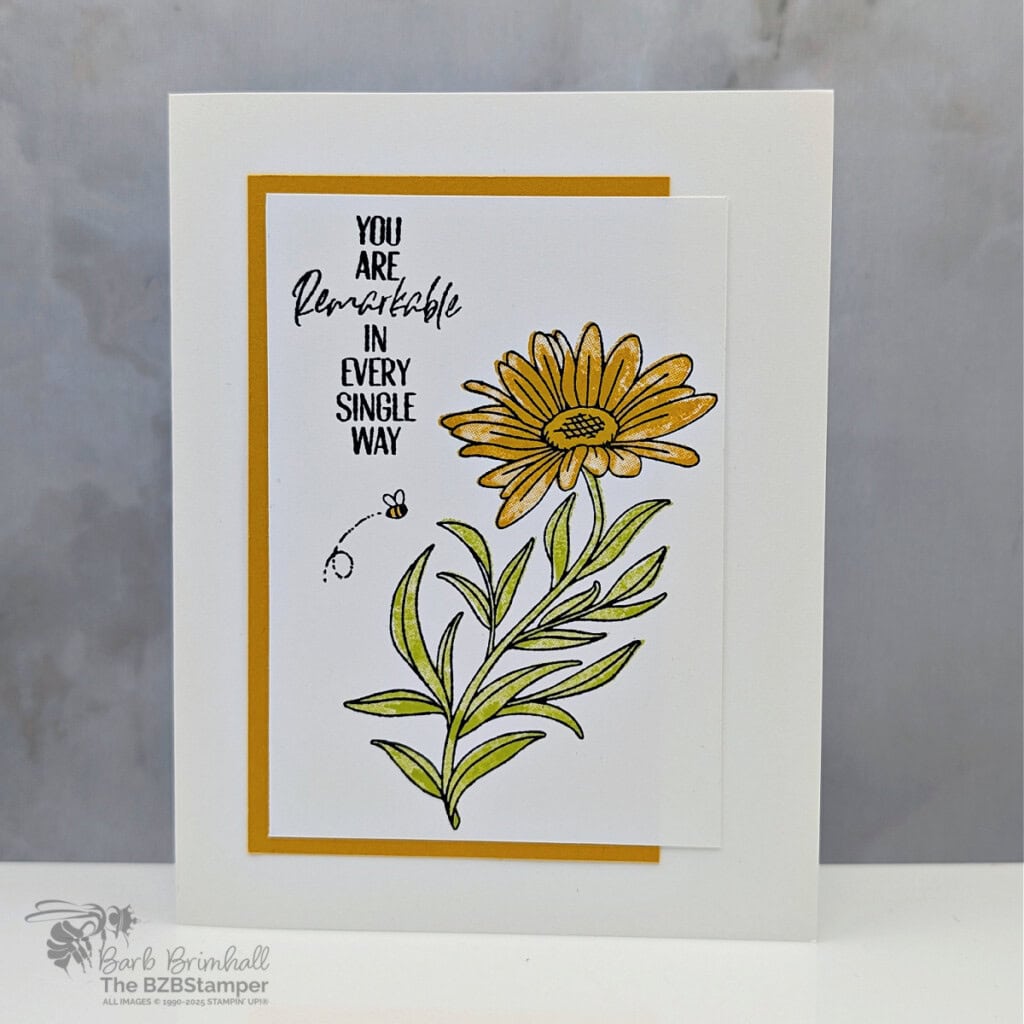 3 Cards using the You Are Remarkable Stamp Set 2 041325 you are remarkable sius 1bb