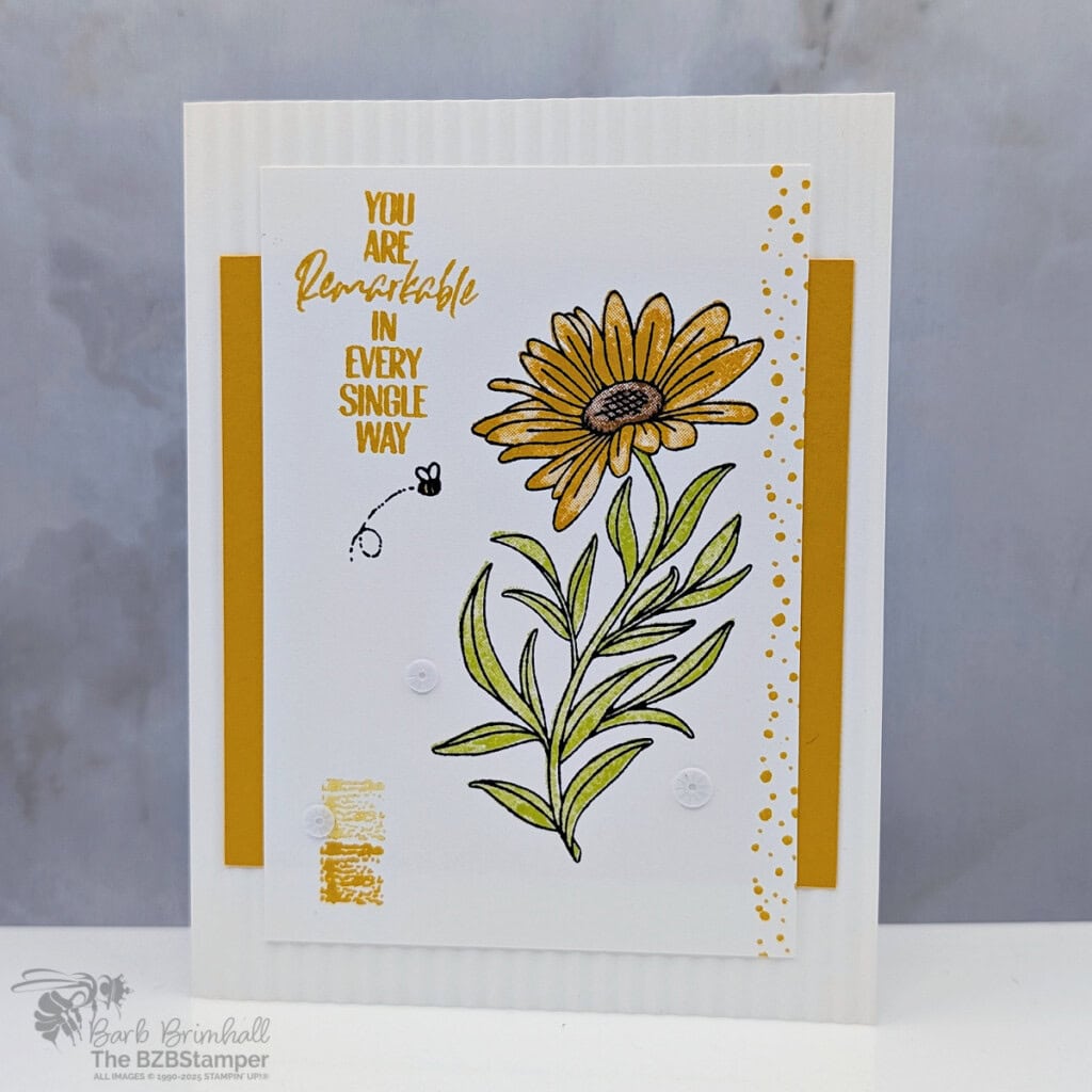 3 Cards using the You Are Remarkable Stamp Set 3 3 Cards using the You Are Remarkable Stamp Set featuring a yellow daisy with a "You are remarkable in every single way" sentiment.