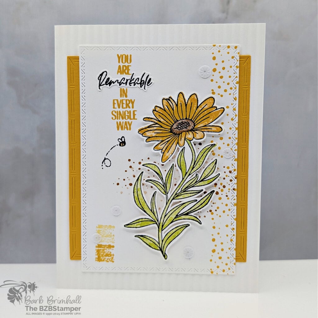 3 Cards using the You Are Remarkable Stamp Set 4 041325 you are remarkable sius 3qb