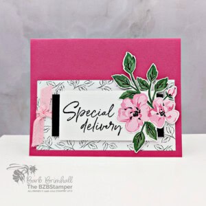 Beautiful Floral Cards with the Lovely Garden Paper 24 041425 stampin up fancy borders 4