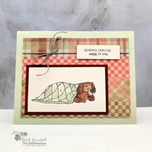 3 Cards using the Hugs and Healing Stamp Set 24 042725 stampin up hugs and healing sius 2wb