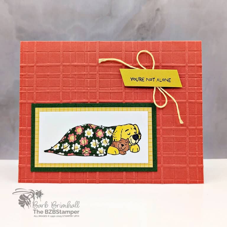Send Comfort with the Hugs and Healing Stamp Set