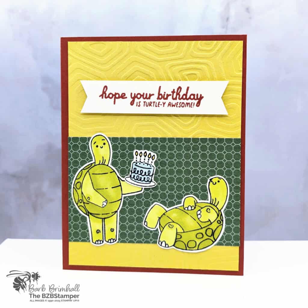 3 Cards using the Turtle-y Awesome Bundle 3 051825 stampin up turtley awesome sius 2wb