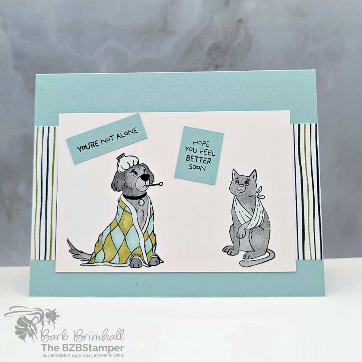 Feel Better Card using the Hugs and Healing Stamp Set 1
Feel Better Card using the Hugs and Healing Stamp Set in pinks, greens and gray with a sick dog and in injured kitty that are still whimsical and cute, and 2 sentiments: "you're not alone" and "hope you're feeling better soon."