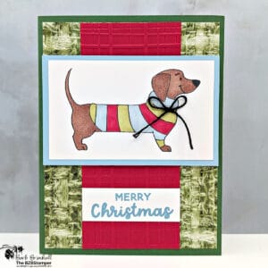 3 Cards using the Long Time No See Stamp Set 25 070625 stampin up long time no see dog sius 2wb