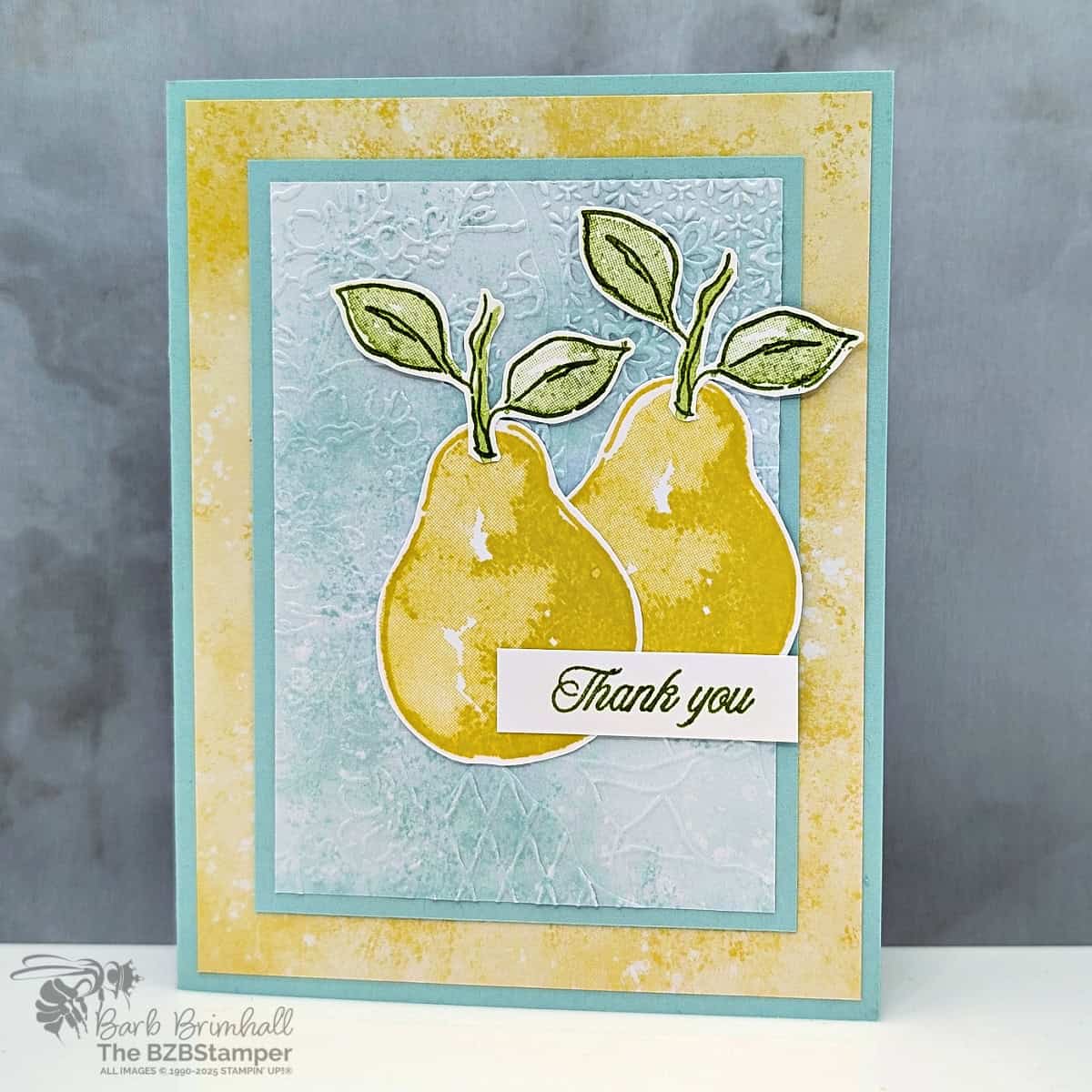 3 Cards using the Perfectly Pairs Bundle 4 071325 stampin up perfectly pears 2wb