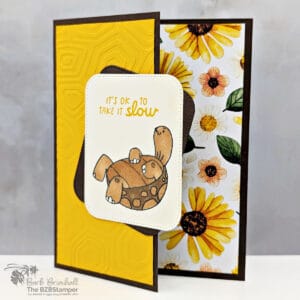 071725 stampin up turtle y awesome 1