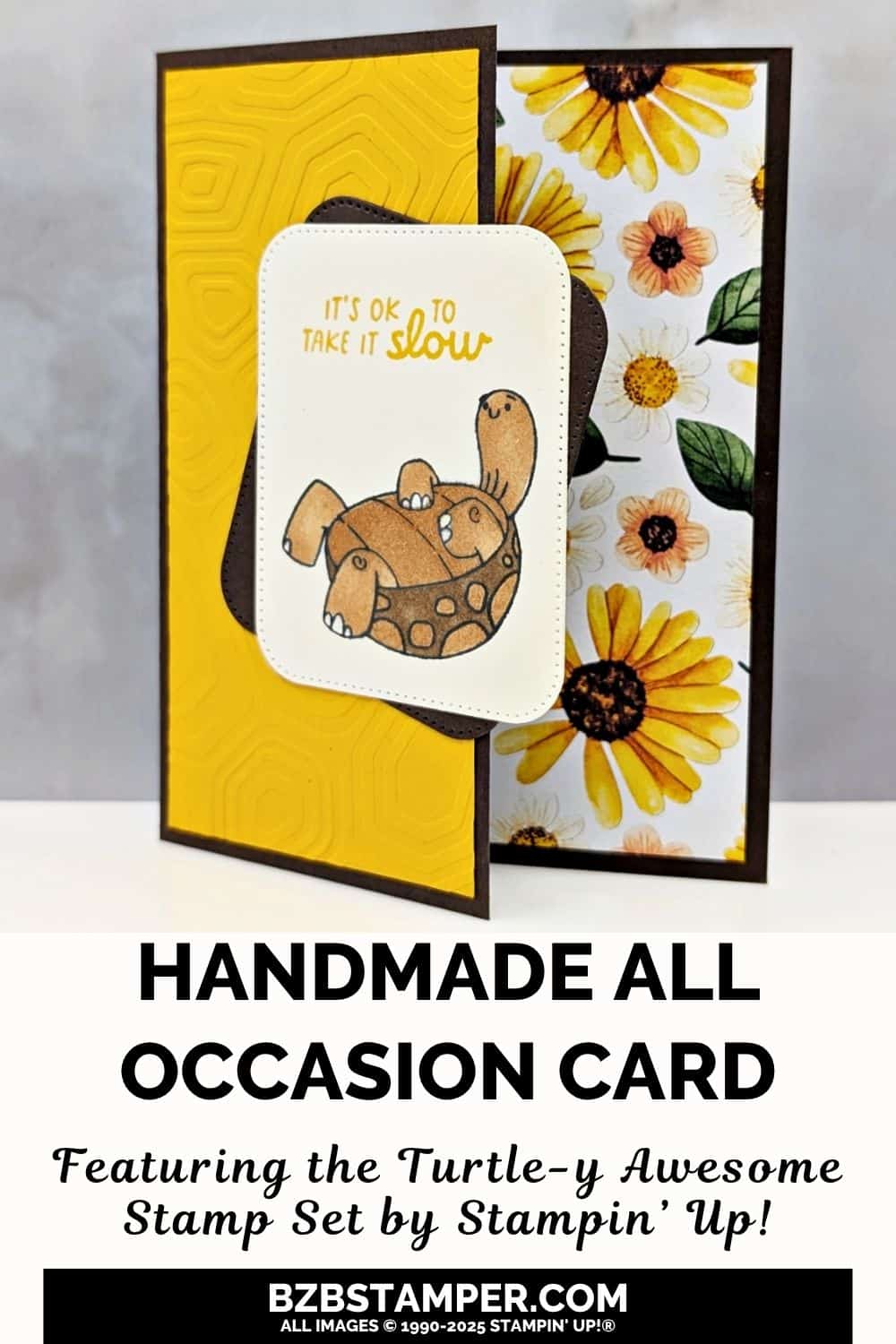 Turtle-y Cute All-Occasion Card Idea 6 071725 stampin up turtle y awesome pin1
