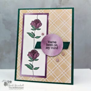 Serene All Occasion Card with Along These Lines Stamp Set 24 072525 stampin up along these lines 5