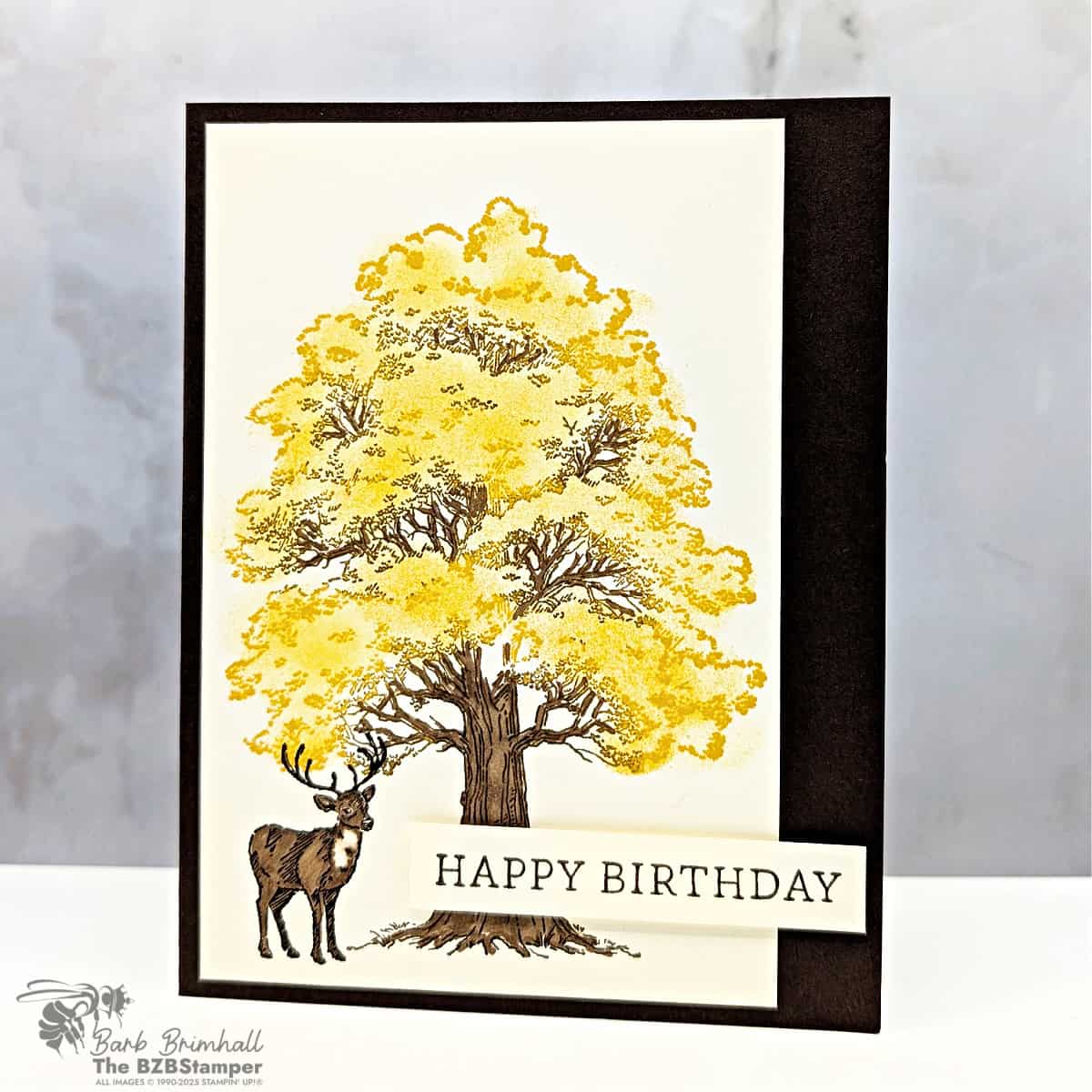 3 Cards using the Autumn Trees Bundle 4 100525 stampin up autumn trees sius 1bb