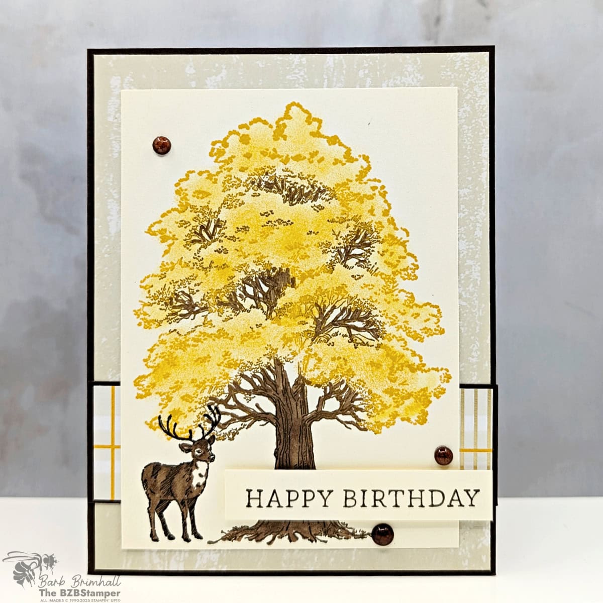 3 Cards using the Autumn Trees Bundle 5 100525 stampin up autumn trees sius 2wb