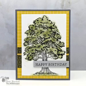 Masculine Birthday Card using the Autumn Trees Stamp Set 23 101725 stampin up autumn trees 5