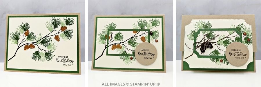 3 Cards using the Branching Out Bundle 1 3 cards using the Branching Out Bundle featuring a birthday cards with pine branches and pinecones, in Crumb Cake, Garden Green, and Early Espresso. Sentiment is "Happiest Birthday Wishes" on a circle tag.