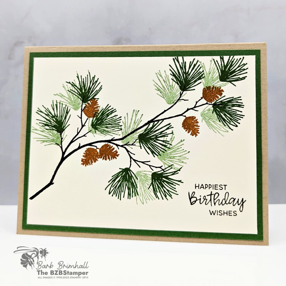 3 Cards using the Branching Out Bundle 4 102625 stampin up branching out 1bb