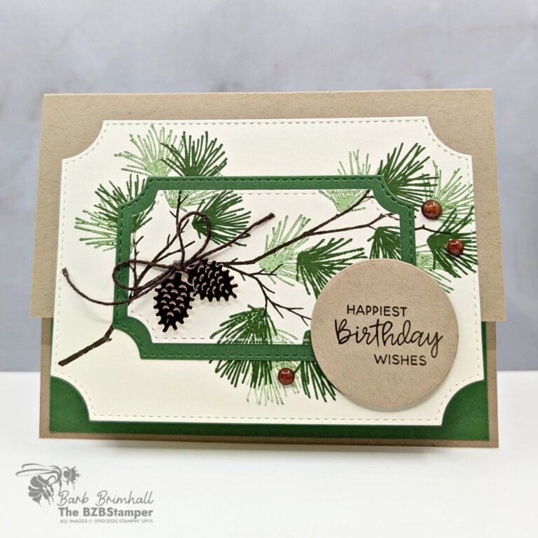 3 Cards using the Branching Out Bundle