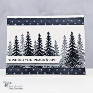 Simple Handmade Christmas Card for Beginners 6 112025 stampin up ornamental christmas 5