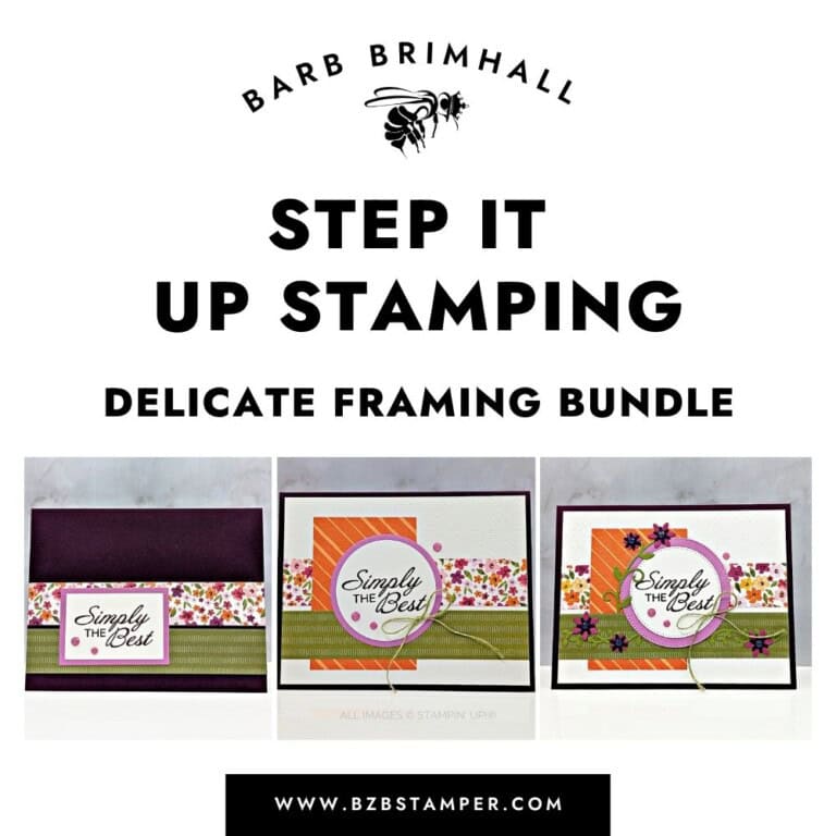 Step It Up Stamping Delicate Framing Tutorial