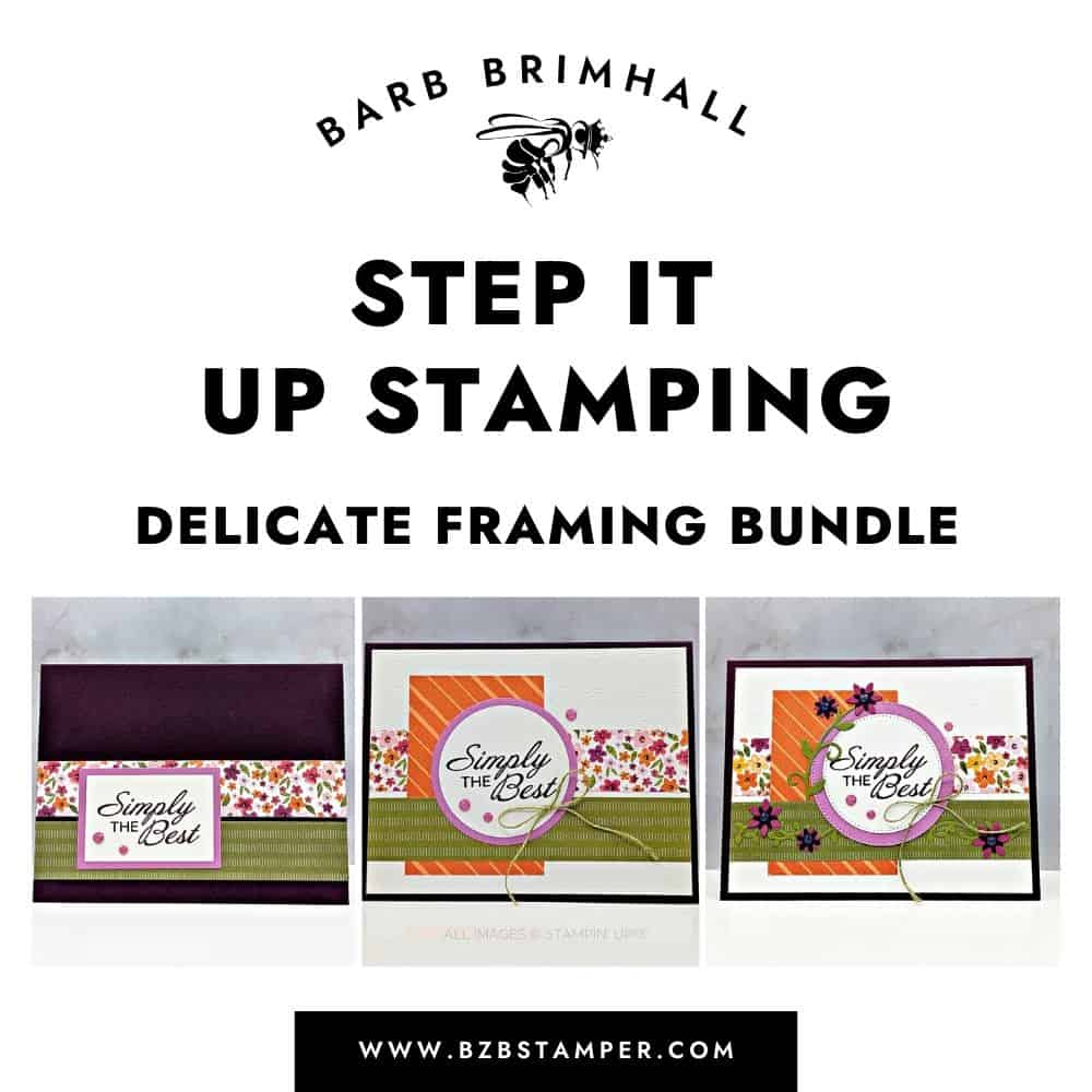 Step It Up Stamping Delicate Framing Tutorial